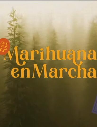 Marihuana-en-marcha