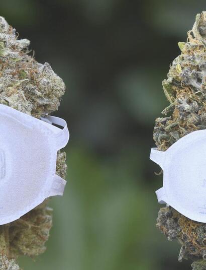 Cannabisbeurs GROWLANDS uitgesteld naar 2021