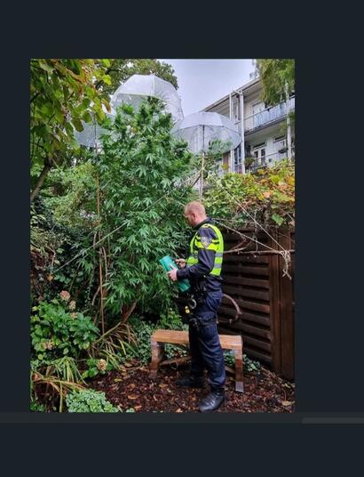 Buitenkweker, cannabis, politie