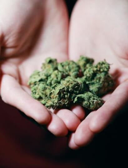 Natural Fertilisers for Cannabis