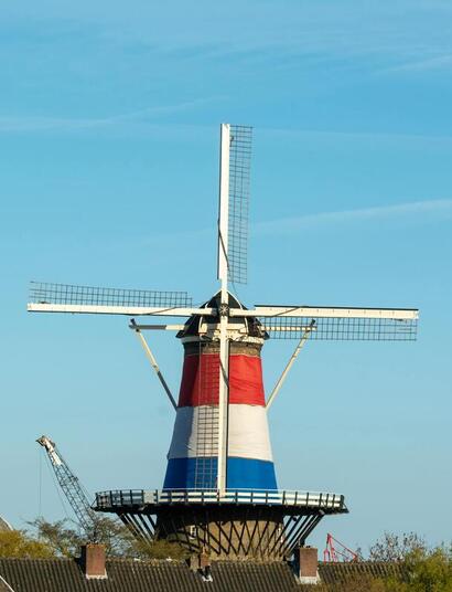 how is it going with the Dutch cannabis experiment?