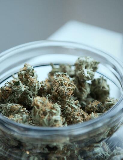 Nizozemský experiment s konopím začne ještě letos