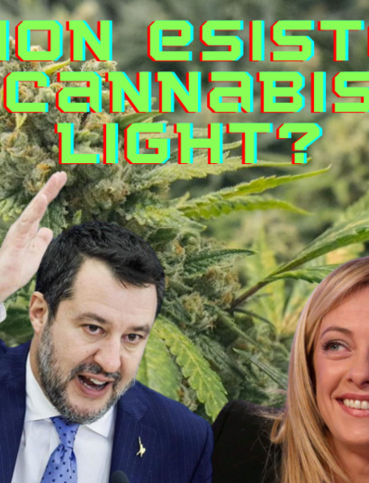 Salvini-meloni-cbd-bulleri