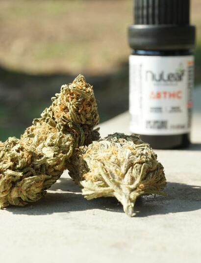 Terpeny v konopí jsou klíče k endokanabinoidnímu systému