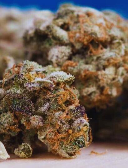 Nowe badanie: CBD nie redukuje haju
