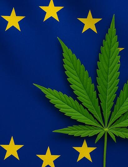 Nowe regulacje CBD w Europie?