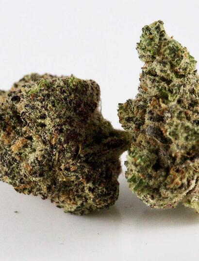 marihuana pěstovaná s PGR