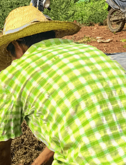 Secando y curando el prensado