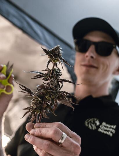 Perfect Grow S02 EP03: Vše o zemině a substrátech