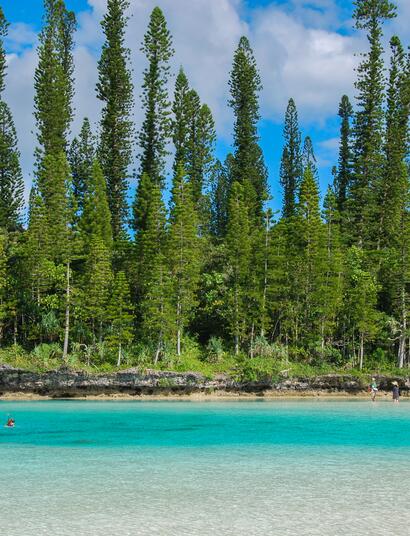 L’histoire du cannabis en Nouvelle Calédonie