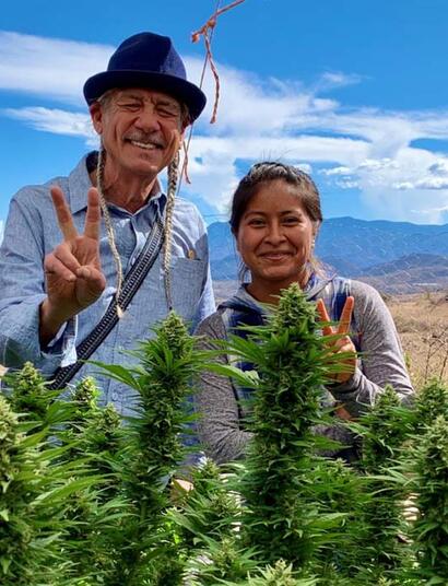 La nouvelle scène du cannabis au Mexique