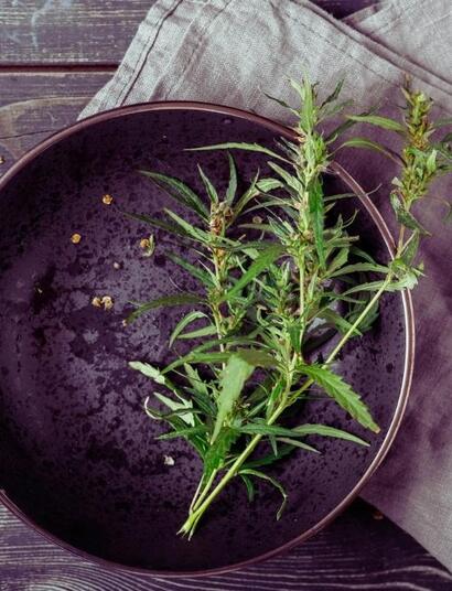 Czym są plastry transdermalne?