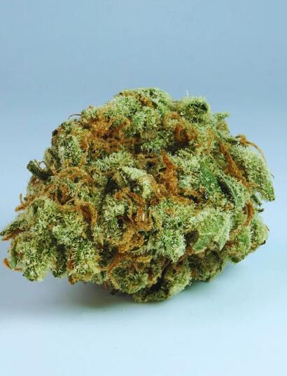 Portugalia uprawia medyczną marihuanę