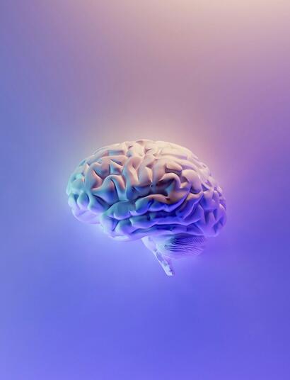 Potencial terapéutico del cannabibnol (CBN).