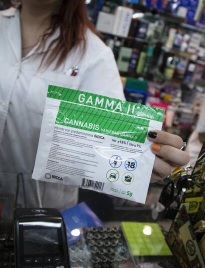 Prodej konopí v Uruguayi strmě roste díky nové odrůdě