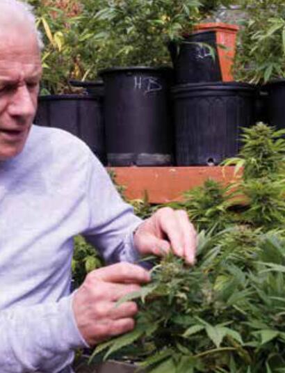 Příběh Cannabis Buers Club – začátek nové éry