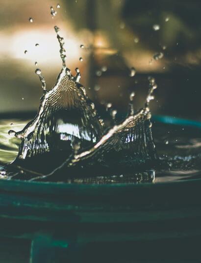 Qué es la aeroponía