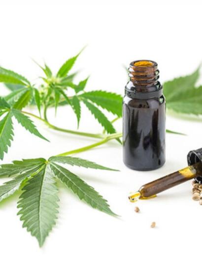 Mission d’information parlementaire : les députés publient leur rapport sur le chanvre bien-être