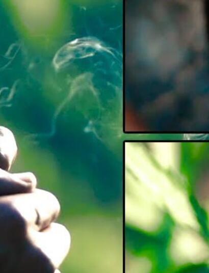 Une chanson pour célébrer la décriminalisation de l'usage de cannabis en Jamaïque