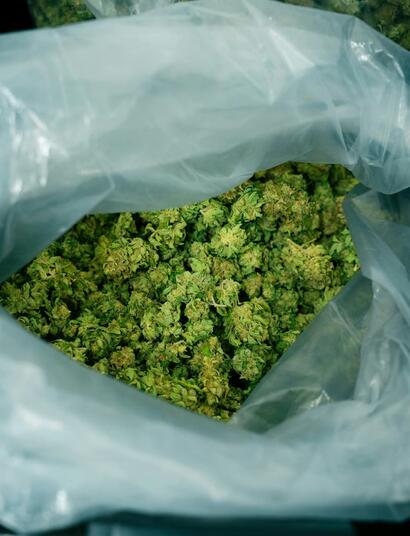 bolsa con cogollos de marihuana
