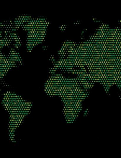 Reisen mit Weed - Wo ist es riskant? 