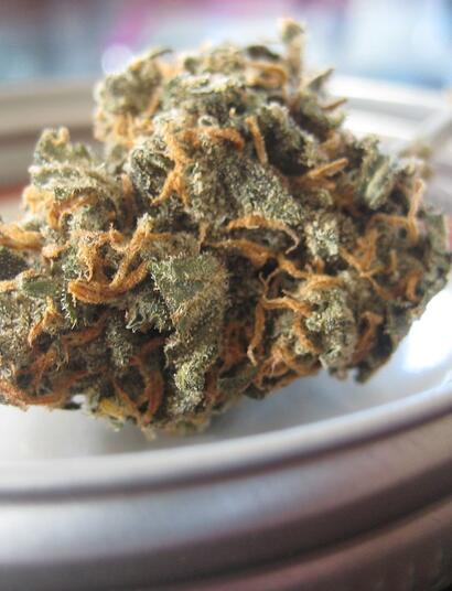 Rezeptfreies Cannabis aus der Apotheke?