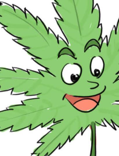 Cannabisbücher für den Sommer