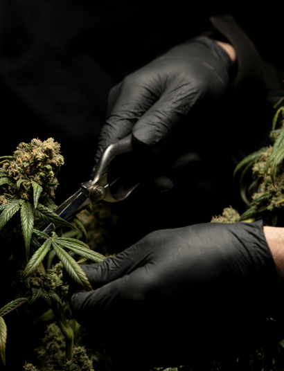 Nawozy domowej roboty