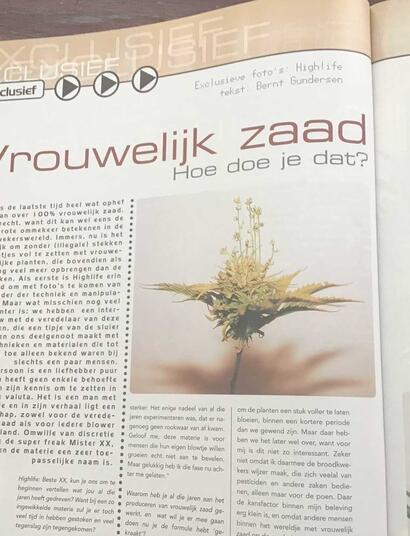 VAN NEDERWIET NAAR AUTOFLOWERS