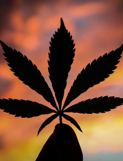 Ende des Cannabisverbots