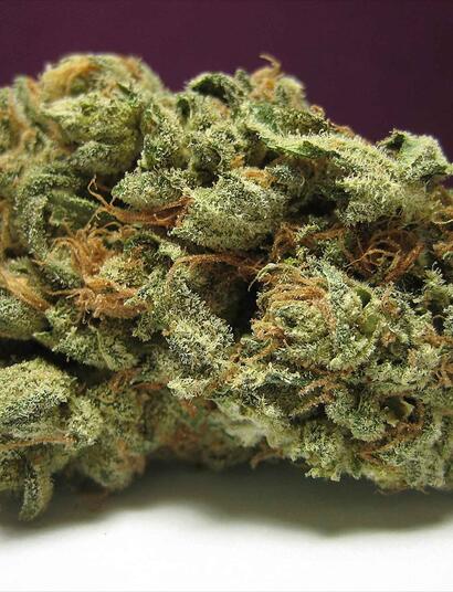 Haze, Kush und Skunk