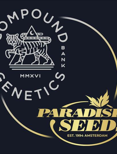Paradise Seeds in Exclusive European Partnership