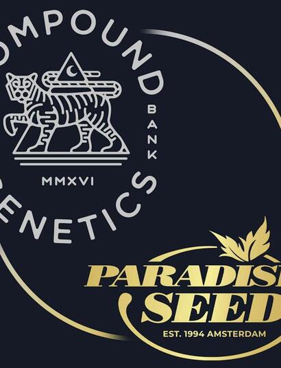 Paradise Seeds in partnership con Compound Genetics: esclusiva europea