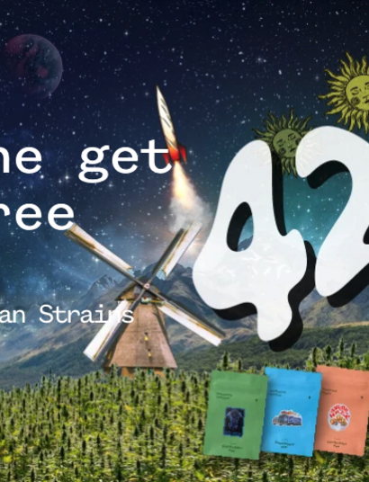 5 kmenů s nejvyšším obsahem THC na webu Seedsman