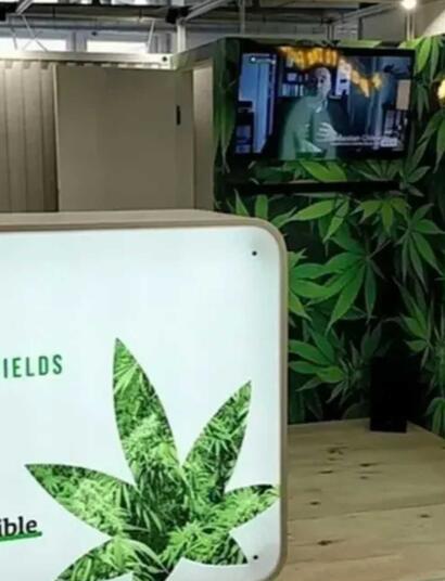 Juicy Fields: Der ehemalige CEO beteuert seine Unschuld.