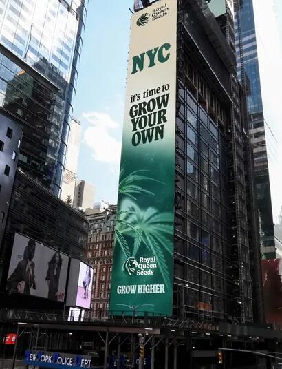 Royal Queen Seeds viert 4/20 met Mike Tyson op Times Square
