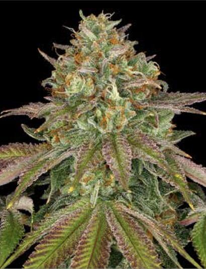 La wedding cake: una grande fetta di torta ai fiori con glassatura extra per favore! 