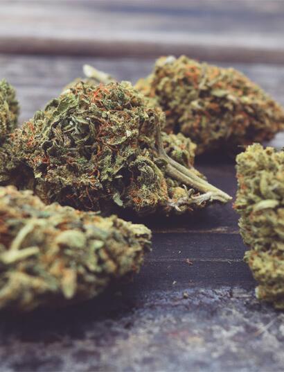 Schwarzmarkt-Analyse 2026:BKA und Ministerin Warke nziehen Bilanz