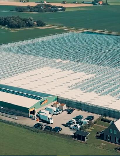 CanAdelaar, la più grande weed farm olandese vittima di furti, reclami e problemi legati agli odori