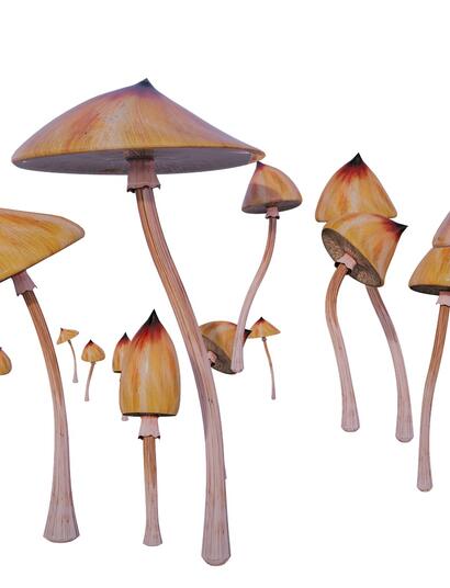 Seattle nową stolicą psychodelików