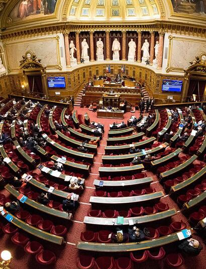 Une proposition de loi pour réguler le marché du CBD