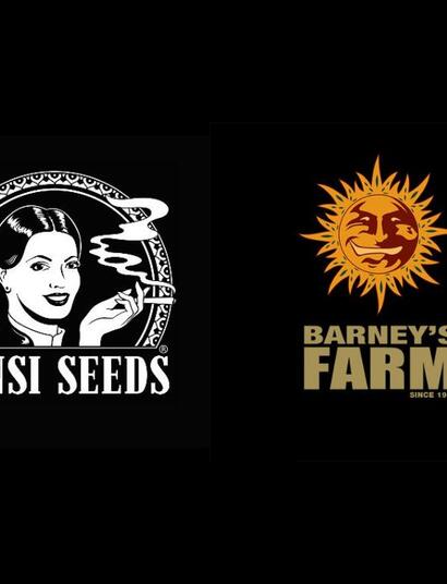 Sensi Seeds i Barney's Farm
