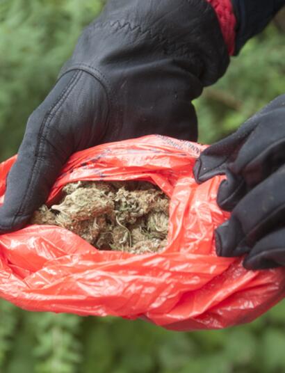 Cannabis-irland-process