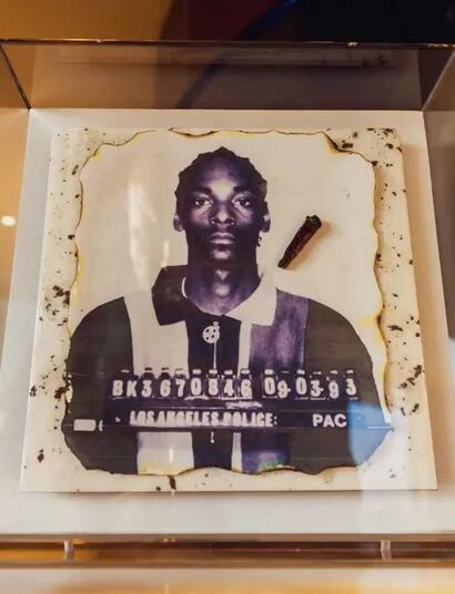 Snoop Dogg: Nedopalky z jointů jako umění