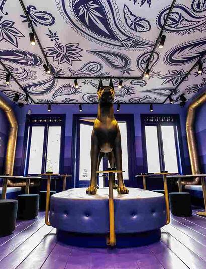 Snoop Opens Amsterdam Coffee Shop