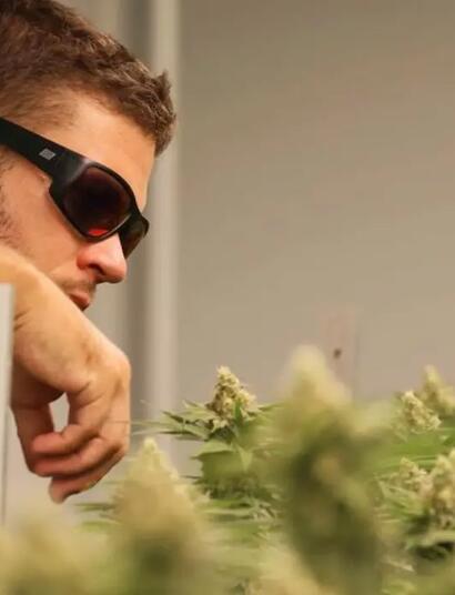 Sof is a former plumber who began growing cannabis in 2012. In 2022, he relocated to Koh Samui, Thailand.