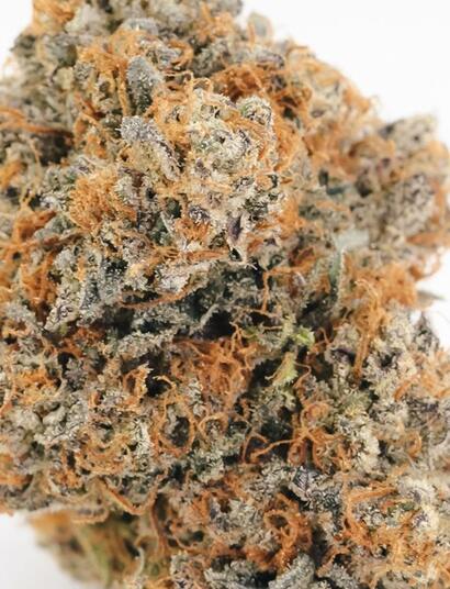 Sposoby na dłuższe przechowywanie marihuany