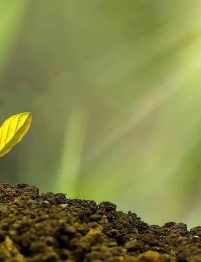 Elke donatie is welkom