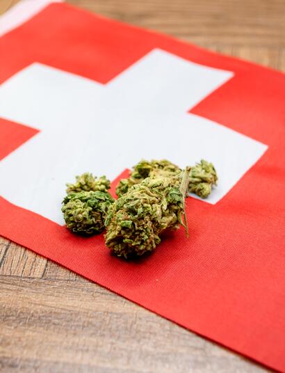 Svizzera Cannabis