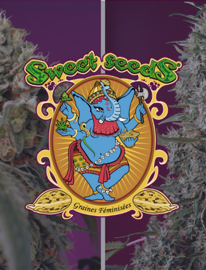 Bruce Banner Auto® et Sweet Cherry Pie® 